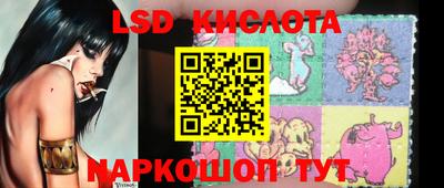 ПСИЛОЦИБИНОВЫЕ ГРИБЫ Кингисепп