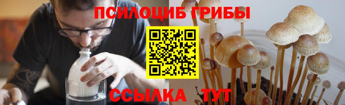 Псилоцибиновые грибы мухоморы  Вход с VPN  Котовск 