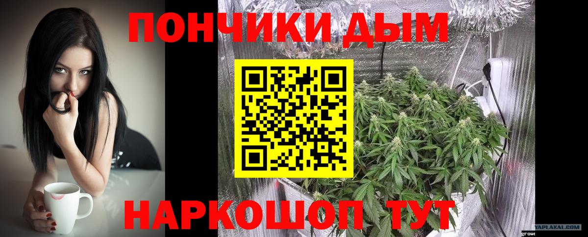 Бошки марихуана THC 21% Котовск
